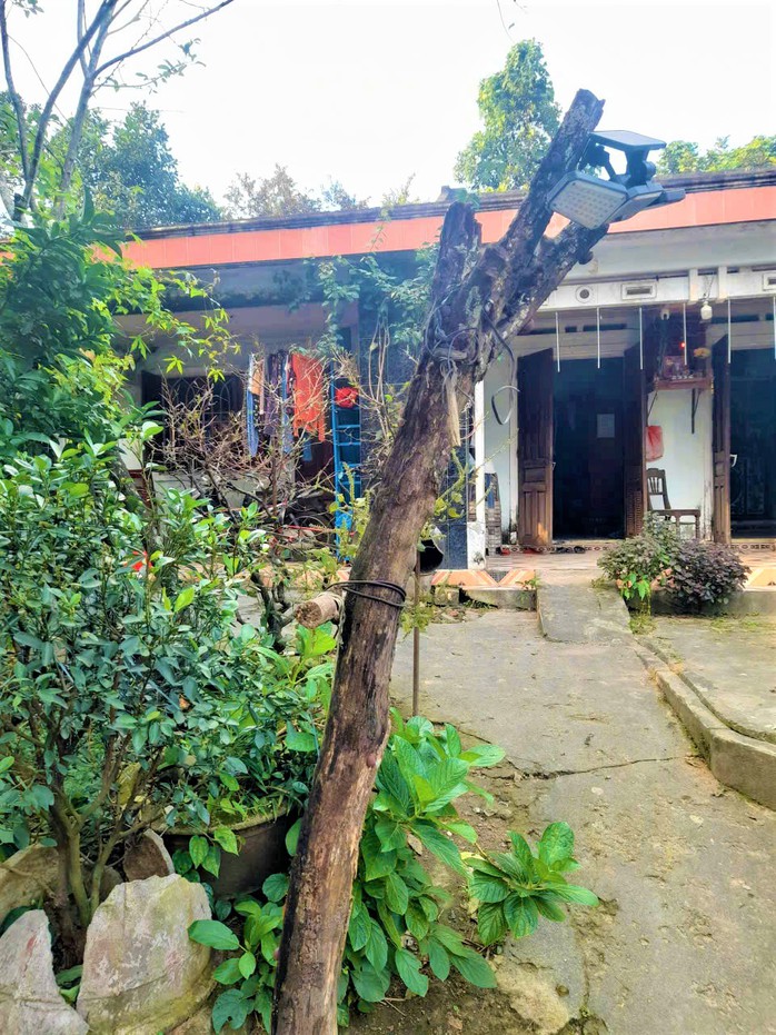 Cuộc thi "Tết xanh": Mứt quật nhà làm - hương Tết xanh còn mãi - Ảnh 8. Cuộc thi "Tết xanh": Mứt quật nhà làm - hương Tết xanh còn mãi - Ảnh 8.