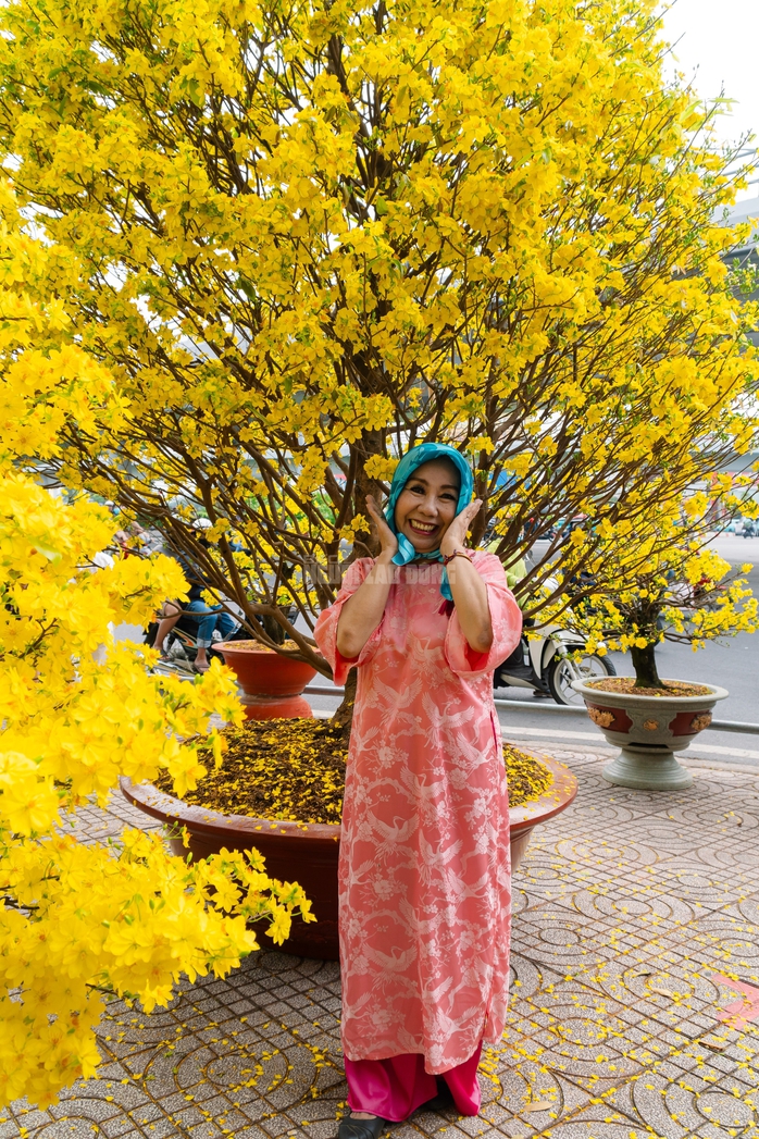 VIDEO: Chiêm ngưỡng cặp mai giảo "khủng" gần 40 năm tuổi, giá 700 triệu đồng ở TPHCM - Ảnh 15.