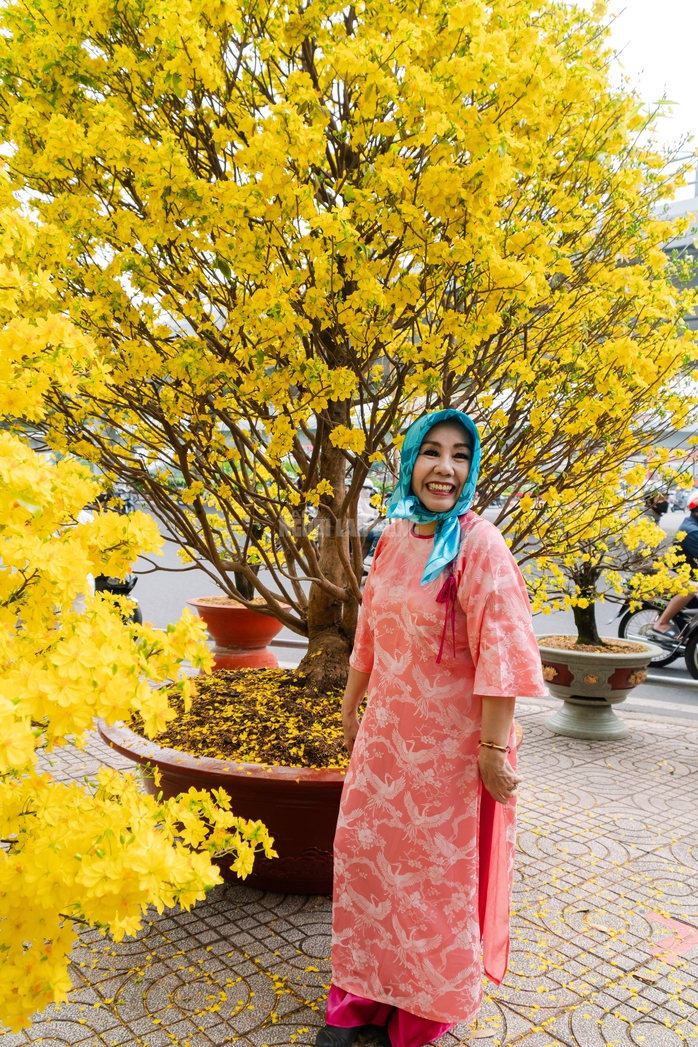 VIDEO: Chiêm ngưỡng cặp mai giảo "khủng" gần 40 năm tuổi, giá 700 triệu đồng ở TPHCM - Ảnh 17.