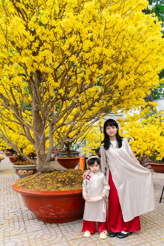 VIDEO: Chiêm ngưỡng cặp mai giảo "khủng" gần 40 năm tuổi, giá 700 triệu đồng ở TPHCM - Ảnh 8.