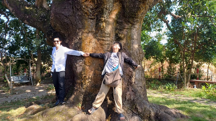 VIDEO: C&acirc;y xo&agrave;i hơn 300 tuổi ở C&agrave; Mau v&agrave; giai thoại "thần hổ" - Ảnh 11.