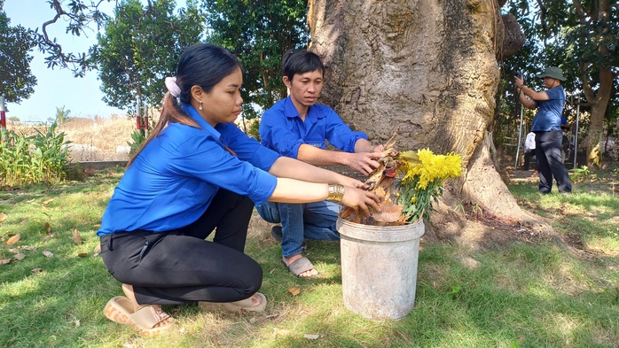VIDEO: C&acirc;y xo&agrave;i hơn 300 tuổi ở C&agrave; Mau v&agrave; giai thoại "thần hổ" - Ảnh 9.