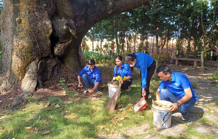 VIDEO: C&acirc;y xo&agrave;i hơn 300 tuổi ở C&agrave; Mau v&agrave; giai thoại "thần hổ" - Ảnh 10.