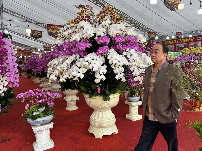 Lan hồ điệp mini h&uacute;t kh&aacute;ch dịp Tết B&iacute;nh Ngọ 2026 , chậu tiền tỉ vắng b&oacute;ng - Ảnh 5.