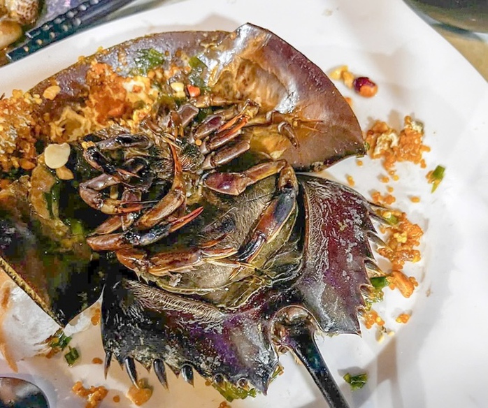 Ăn s&ograve;, ốc, sam, nhiều người nghi ngộ độc phải cấp cứu - Ảnh 1.