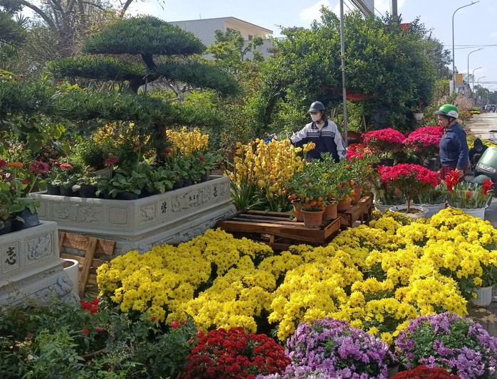 L&agrave;ng hoa rực rỡ sắc xu&acirc;n trong những ng&agrave;y gi&aacute;p Tết Nguy&ecirc;n đ&aacute;n - Ảnh 1.