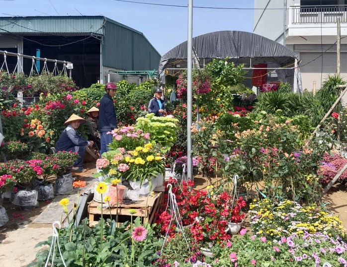 L&agrave;ng hoa rực rỡ sắc xu&acirc;n trong những ng&agrave;y gi&aacute;p Tết Nguy&ecirc;n đ&aacute;n - Ảnh 3.