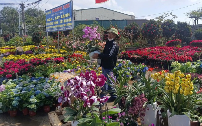L&agrave;ng hoa rực rỡ sắc xu&acirc;n trong những ng&agrave;y gi&aacute;p Tết Nguy&ecirc;n đ&aacute;n - Ảnh 6.