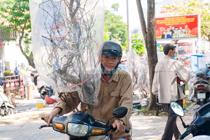 VIDEO: Xả hoa Tết gi&aacute; 100.000 đồng vắng kh&aacute;ch v&agrave;o trưa 29 Tết tại TPHCM - Ảnh 19.