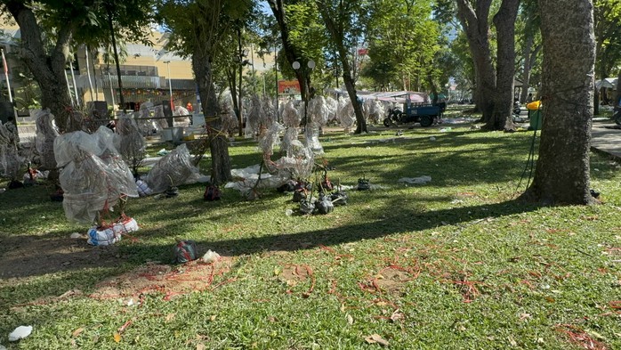 Chợ hoa Tết 2026: Nhiều l&ocirc; hoa kiểng đ&atilde; b&aacute;n hết sạch tại TP HCM - Ảnh 3.