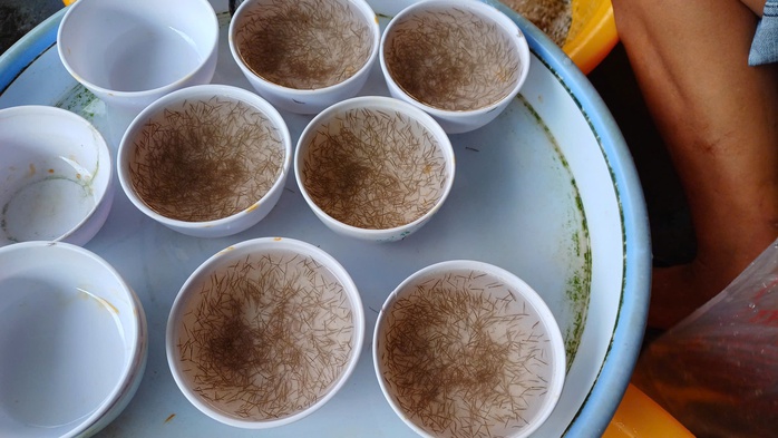 VIDEO: Thu hoạch đặc sản tỉ USD ở C&agrave; Mau - Ảnh 5.