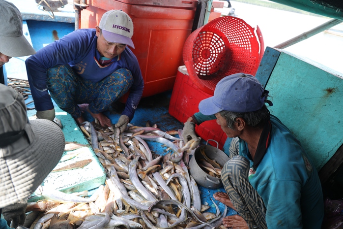 Xu&acirc;n về tr&ecirc;n x&atilde; đảo Thạnh An: Niềm vui của chiến sĩ bi&ecirc;n ph&ograve;ng 2026 - Ảnh 8.