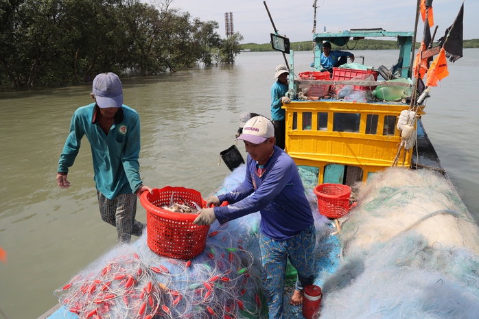 Xu&acirc;n về tr&ecirc;n x&atilde; đảo Thạnh An: Niềm vui của chiến sĩ bi&ecirc;n ph&ograve;ng 2026 - Ảnh 5.