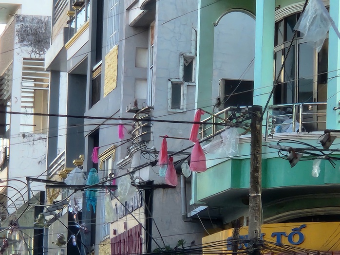 C&aacute;ch người d&acirc;n Cần Thơ xua đuổi chim &eacute;n tr&uacute; ngụ g&acirc;y &ocirc; nhiễm m&ocirc;i trường - Ảnh 6.