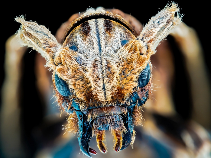 Gặp mặt chàng trai 9X – Người truyền lửa đam mê bảo tồn thiên nhiên - Ảnh 2.