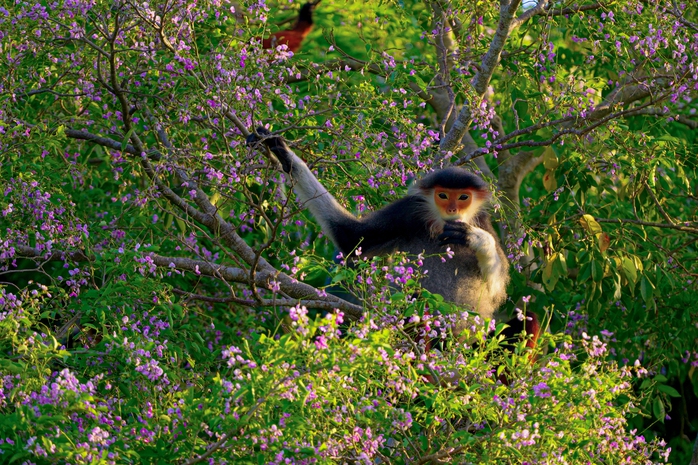 Gặp mặt chàng trai 9X – Người truyền lửa đam mê bảo tồn thiên nhiên - Ảnh 5.
