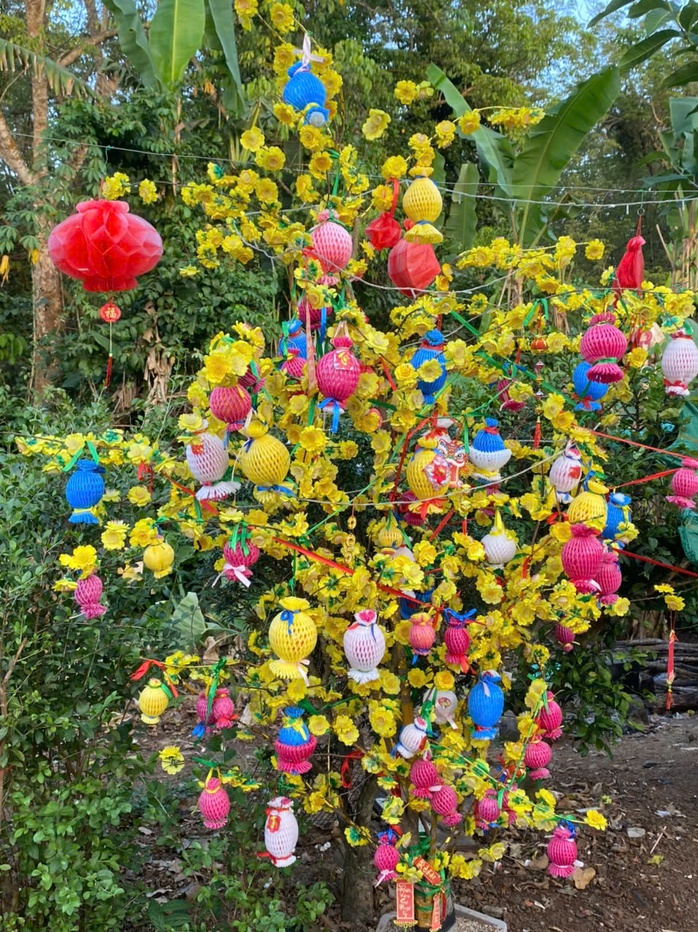 Cuộc thi "Tết xanh": Đường qu&ecirc; rực rỡ sắc xu&acirc;n - Ảnh 6.