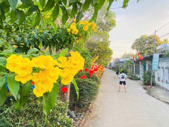Cuộc thi "Tết xanh": Đường qu&ecirc; rực rỡ sắc xu&acirc;n - Ảnh 7.