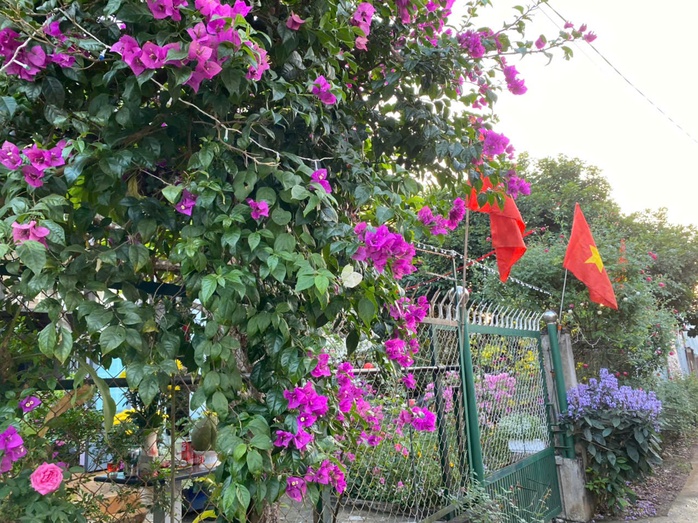 Cuộc thi "Tết xanh": Đường qu&ecirc; rực rỡ sắc xu&acirc;n - Ảnh 8.