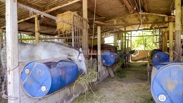 VIDEO: Thủ phủ chiến m&atilde; vang b&oacute;ng một thời b&acirc;y giờ ra sao? - Ảnh 1.