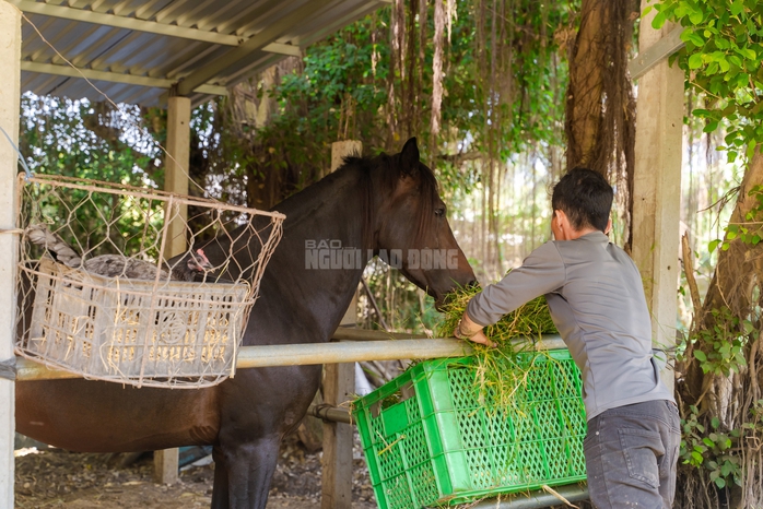 VIDEO: Thủ phủ chiến m&atilde; vang b&oacute;ng một thời b&acirc;y giờ ra sao? - Ảnh 19.