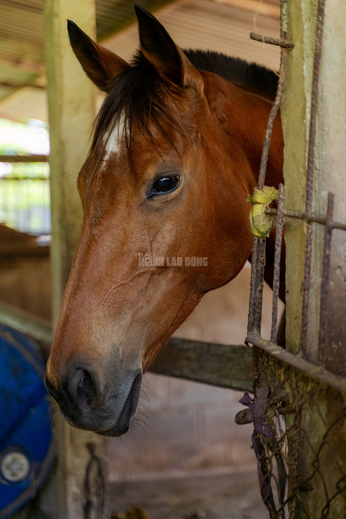 VIDEO: Thủ phủ chiến m&atilde; vang b&oacute;ng một thời b&acirc;y giờ ra sao? - Ảnh 10.