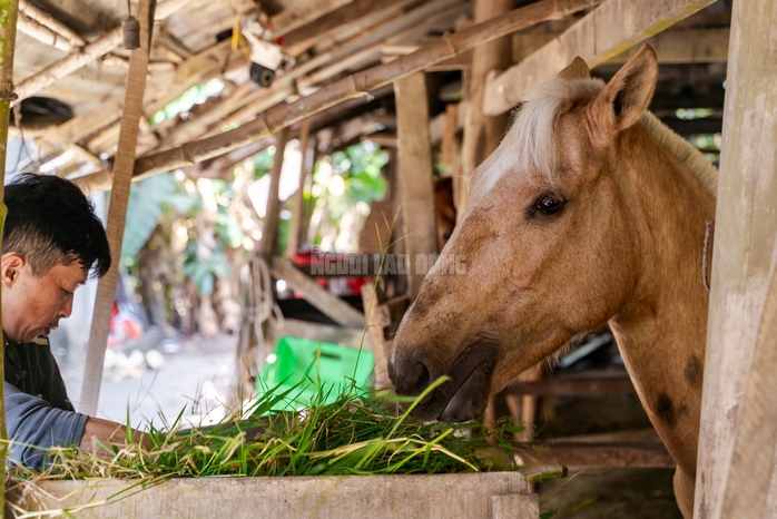 VIDEO: Thủ phủ chiến m&atilde; vang b&oacute;ng một thời b&acirc;y giờ ra sao? - Ảnh 11.