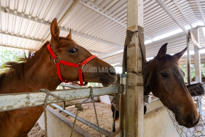 VIDEO: Thủ phủ chiến m&atilde; vang b&oacute;ng một thời b&acirc;y giờ ra sao? - Ảnh 12.