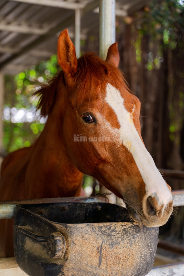 VIDEO: Thủ phủ chiến m&atilde; vang b&oacute;ng một thời b&acirc;y giờ ra sao? - Ảnh 13.