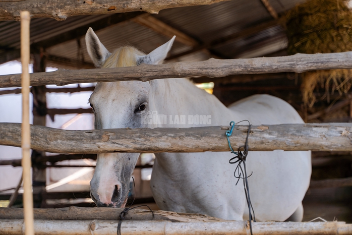 VIDEO: Thủ phủ chiến m&atilde; vang b&oacute;ng một thời b&acirc;y giờ ra sao? - Ảnh 14.