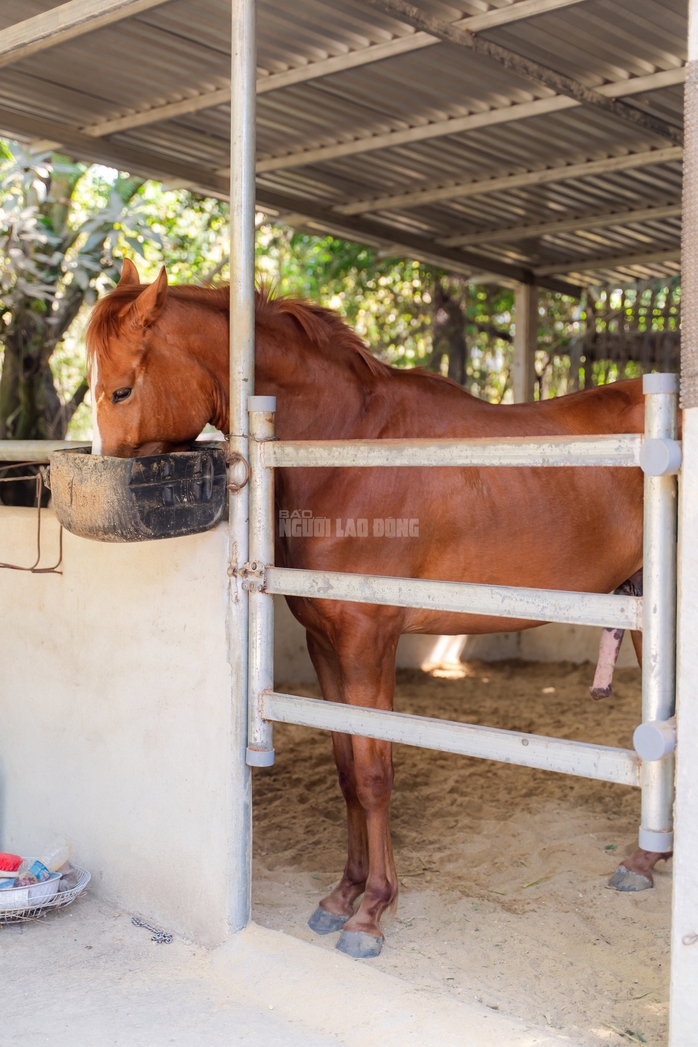 VIDEO: Thủ phủ chiến m&atilde; vang b&oacute;ng một thời b&acirc;y giờ ra sao? - Ảnh 15.
