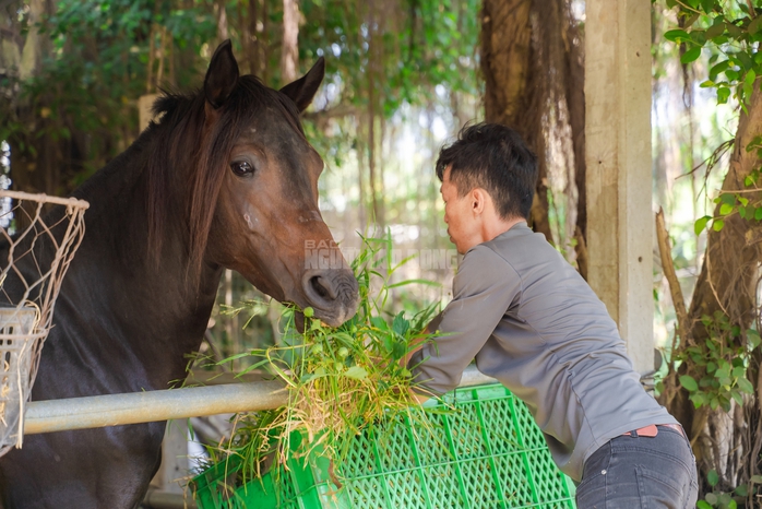 VIDEO: Thủ phủ chiến m&atilde; vang b&oacute;ng một thời b&acirc;y giờ ra sao? - Ảnh 8.
