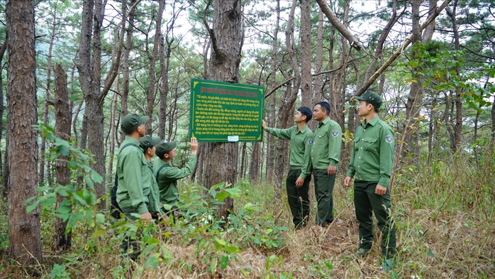 G&aacute;c niềm ri&ecirc;ng, giữ rừng xuy&ecirc;n Tết - Ảnh 1.