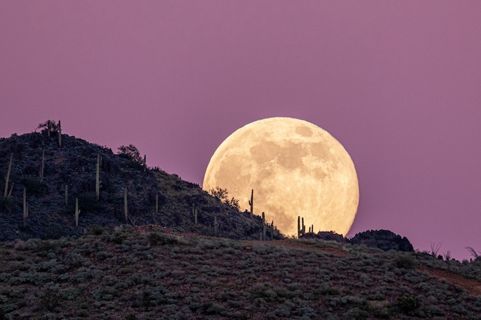 Ba si&ecirc;u trăng chưa lộ mặt năm B&iacute;nh Ngọ - Ảnh 1.