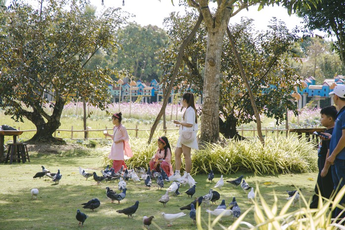 Du lịch miền T&acirc;y h&uacute;t kh&aacute;ch dịp Tết nhờ loạt trải nghiệm mới   - Ảnh 4.