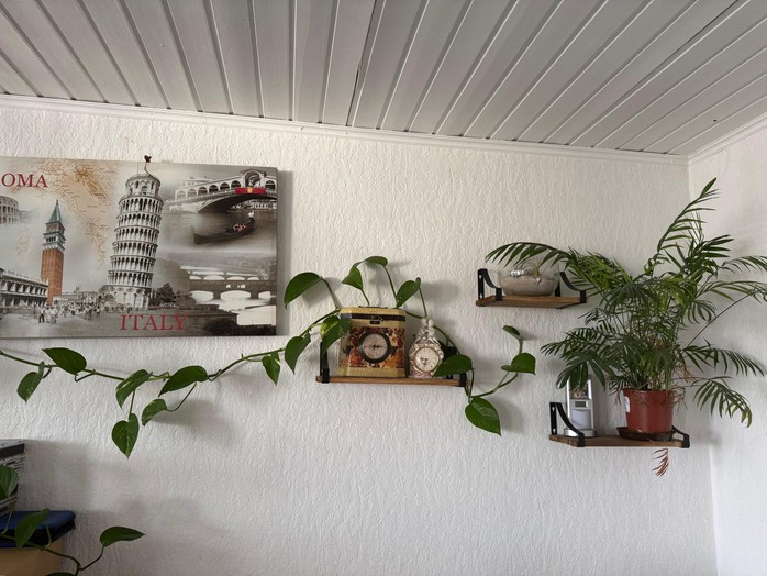 Cuộc thi "Tết xanh": Giữ lửa Tết xanh nơi xứ người - Ảnh 1.