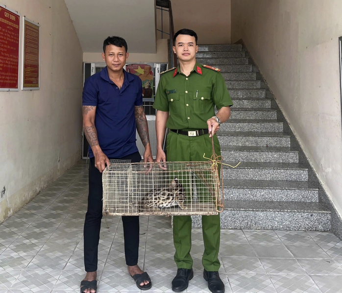 Vĩnh Long Ph&aacute;t hiện m&egrave;o rừng q&uacute;y hiếm giao nộp C&ocirc;ng an năm 2026 - Ảnh 1.