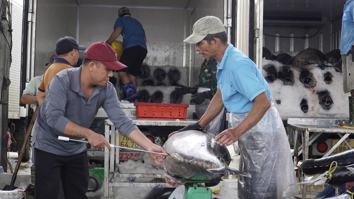 &ldquo;Thủ phủ&rdquo; c&aacute; ngừ đại dương v&agrave; những chuyến biển bạc tỉ - Ảnh 3.