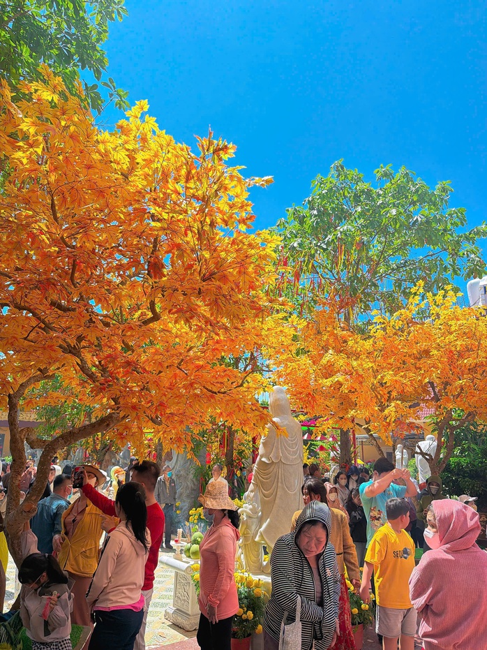 Người d&acirc;n C&agrave; Mau v&agrave; Đồng Th&aacute;p chen ch&acirc;n cầu b&igrave;nh an ng&agrave;y Tết 2026 - Ảnh 12.