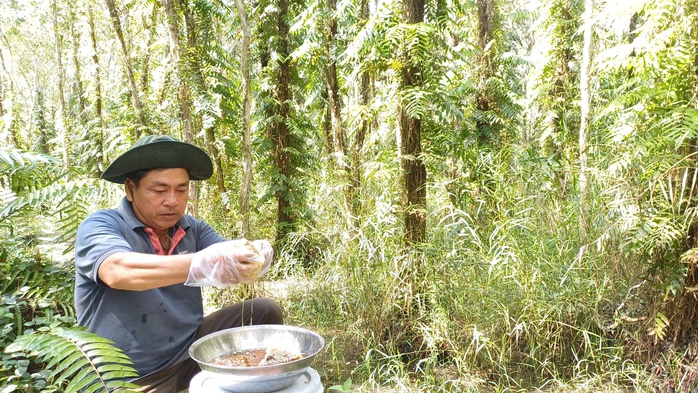 VIDEO: Trải nghiệm ăn ong ng&agrave;y Tết - Ảnh 10.