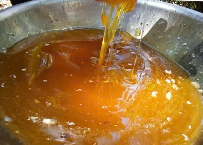 VIDEO: Trải nghiệm ăn ong ng&agrave;y Tết - Ảnh 11.