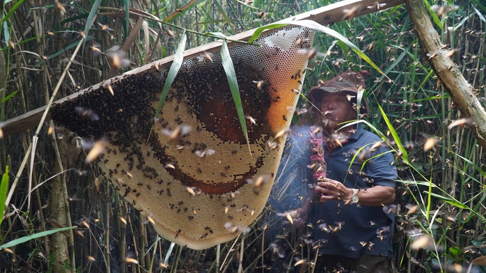 VIDEO: Trải nghiệm ăn ong ng&agrave;y Tết - Ảnh 6.