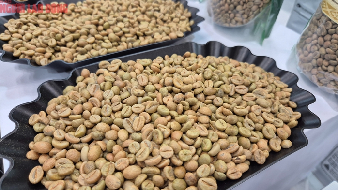 Gi&aacute; c&agrave; ph&ecirc; h&ocirc;m nay 20-2: Lại giảm - Ảnh 1.