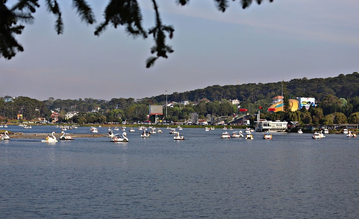 L&acirc;m Đồng đ&oacute;n gần 1 triệu du kh&aacute;ch dịp Tết Nguy&ecirc;n đ&aacute;n, doanh thu 1.800 tỉ đồng - Ảnh 2.