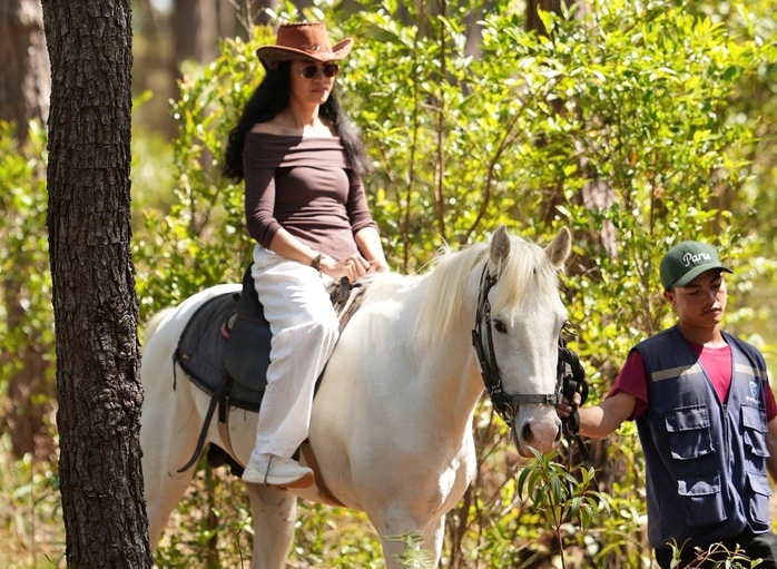 - Ảnh 5. - Ảnh 5.