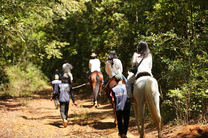 - Ảnh 4. - Ảnh 4.