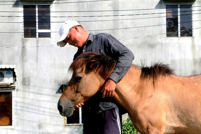 Những người n&agrave;i ngựa cuối c&ugrave;ng ở v&ugrave;ng Bảy N&uacute;i: Di sản văn h&oacute;a đang dần biến mất - Ảnh 1.