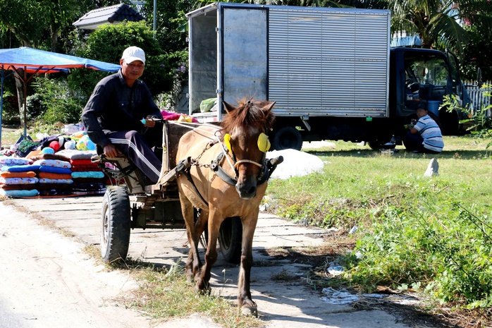Những người n&agrave;i ngựa cuối c&ugrave;ng ở v&ugrave;ng Bảy N&uacute;i: Di sản văn h&oacute;a đang dần biến mất - Ảnh 2.