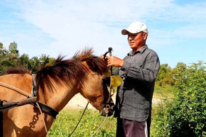 Những người n&agrave;i ngựa cuối c&ugrave;ng ở v&ugrave;ng Bảy N&uacute;i: Di sản văn h&oacute;a đang dần biến mất - Ảnh 3.