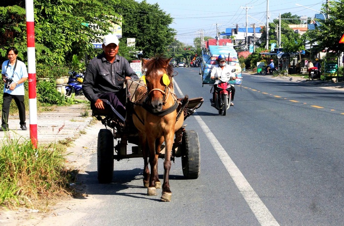 Những người n&agrave;i ngựa cuối c&ugrave;ng ở v&ugrave;ng Bảy N&uacute;i: Di sản văn h&oacute;a đang dần biến mất - Ảnh 4.